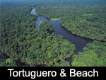Tortuguero